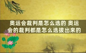 奥运会裁判是怎么选的 奥运会的裁判都是怎么选拔出来的